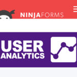 Ninja Forms User Analytics