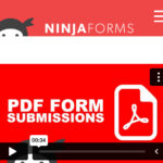 Ninja Forms PDF Form Submissions