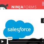 Ninja Forms SalesForce CRM