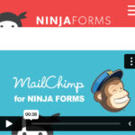 Ninja Forms MailChimp