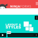 Ninja Forms Layout & Styles