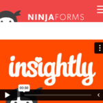 Ninja Forms Insightly CRM