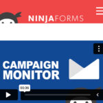 Ninja Forms Campaign Monitor