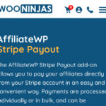 AffiliateWP Stripe Payout