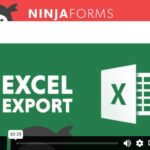 Ninja Forms Excel Export