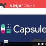 Ninja Forms Capsule CRM