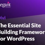 Divi Builder