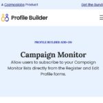 Profile Builder Campaign Monitor