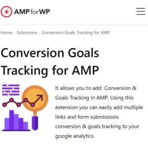 Conversion Goals Tracking for AMP