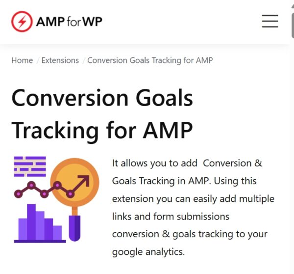 Conversion Goals Tracking for AMP