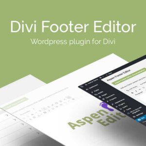 Divi Footer Editor