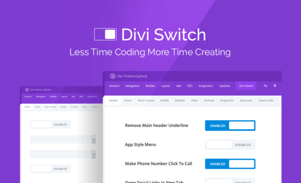 Divi Switch