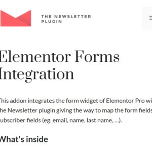 Newsletter Elementor Pro