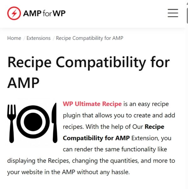 Recipe Compatibility for AMP