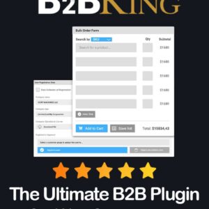 B2BKing