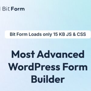Bit Form Pro