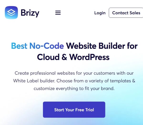 Brizy Pro