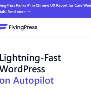 FlyingPress