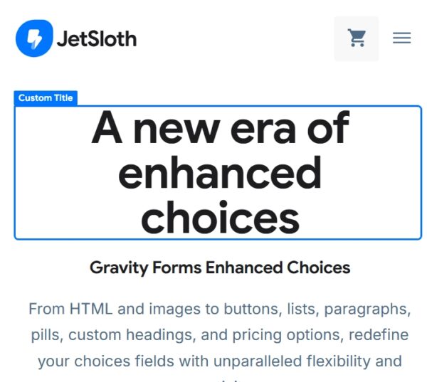 Gravity Forms Enhanced Choices