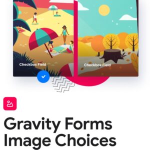 Gravity Forms Image Choices