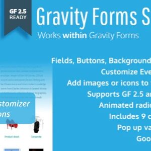 Gravity Forms Styles Pro
