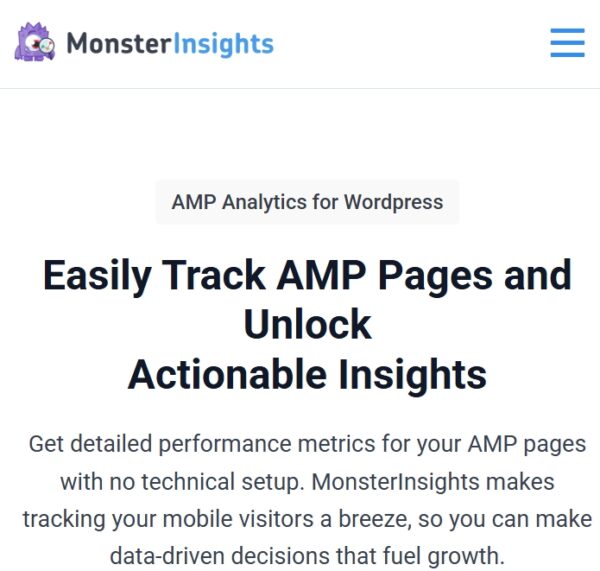 MonsterInsights AMP Addon