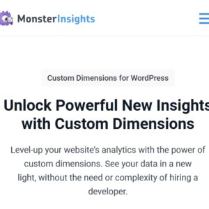 MonsterInsights Dimensions Addon