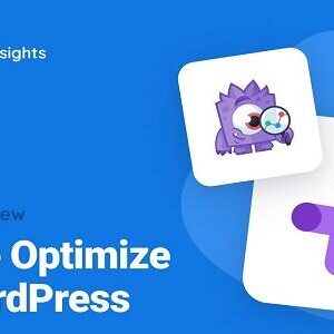MonsterInsights Google Optimize Addon