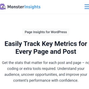 MonsterInsights Page Insights Addon