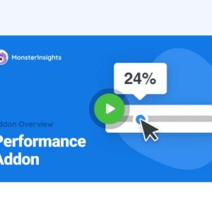 MonsterInsights Performance Addon