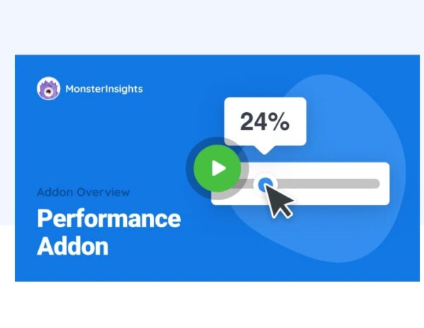 MonsterInsights Performance Addon