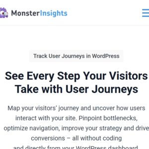 MonsterInsights User Journey