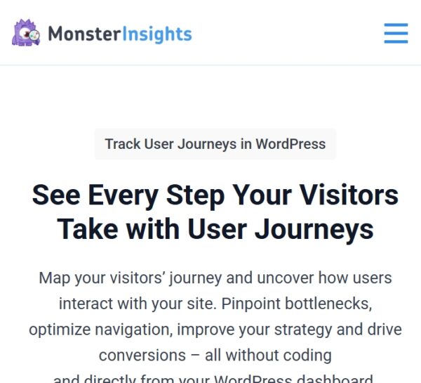MonsterInsights User Journey