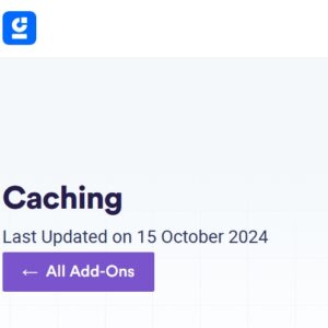 WP Grid Builder Caching