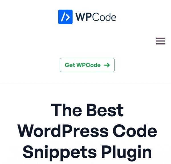 WPCode Pro