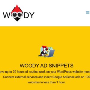 Woody Code Snippets Premium