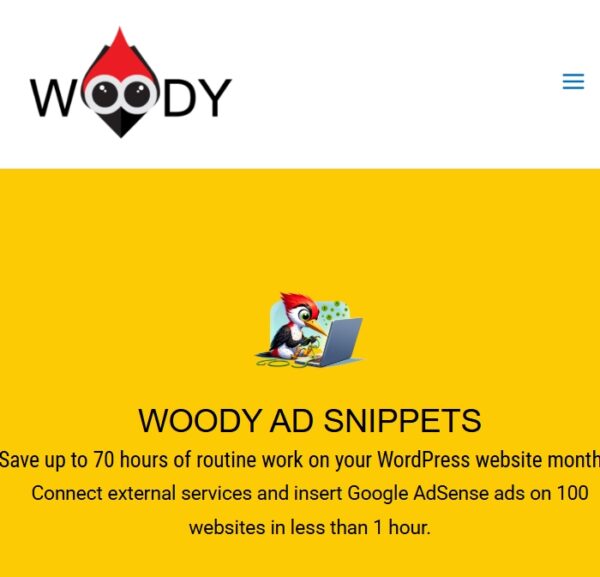 Woody Code Snippets Premium