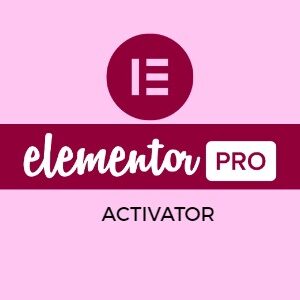 Elementor Pro Activator