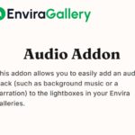 Envira Gallery Audio Addon
