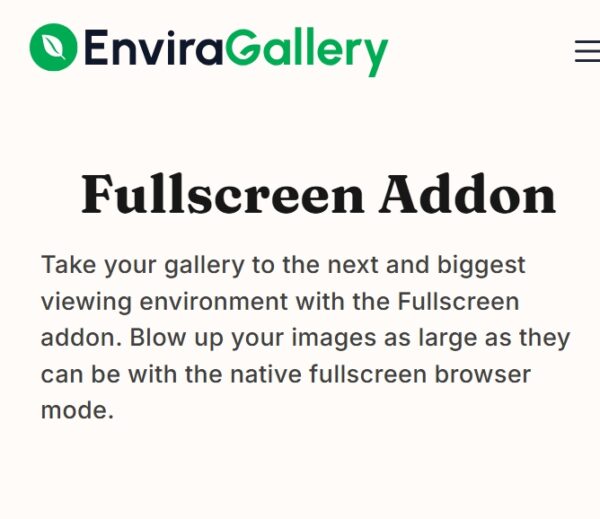 Envira Gallery Fullscreen Addon