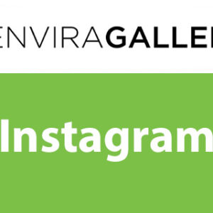 Envira Gallery Instagram Addon
