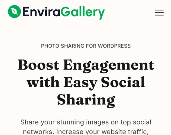 Envira Gallery Social Addon