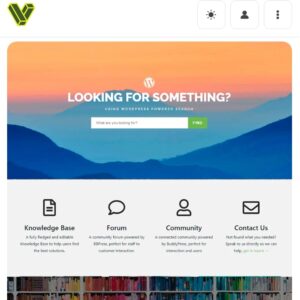 Forum WordPress theme​