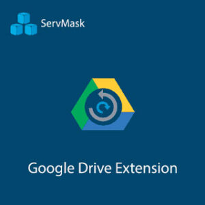 All in One WP Migration Google Drive Extension