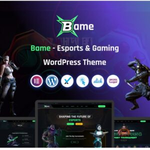 Bame WordPress Theme