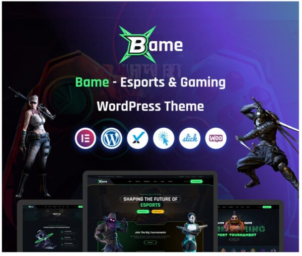 Bame WordPress Theme